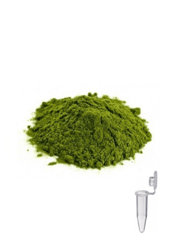 Yeşil Mum Boyası Pigment 1,5ml Tüp İçerisinde Mum Yapma Malzemeleri Mum Yapımı Mum Renklendirme